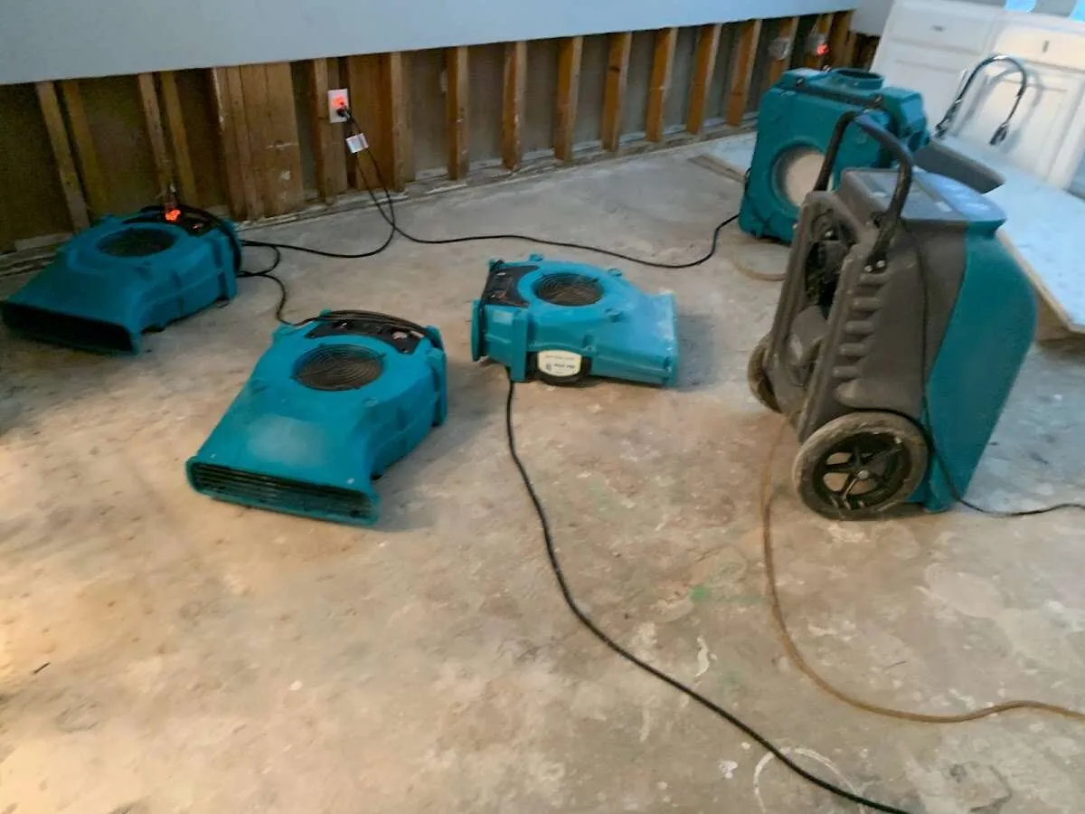 Water Damage Restoration services in South Cleveland, TN